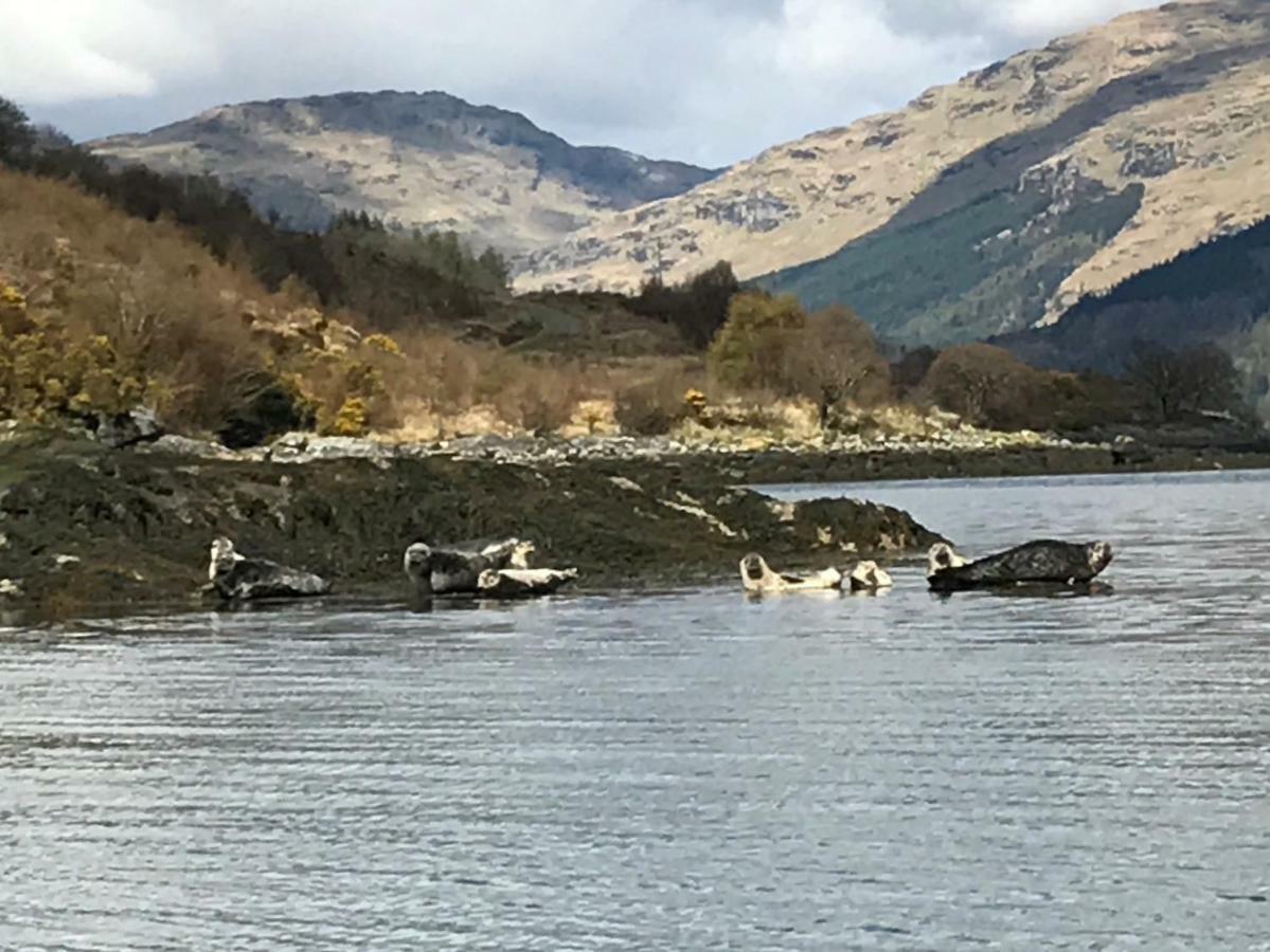 Carrick Farm Hotel Lochgoilhead Exterior photo